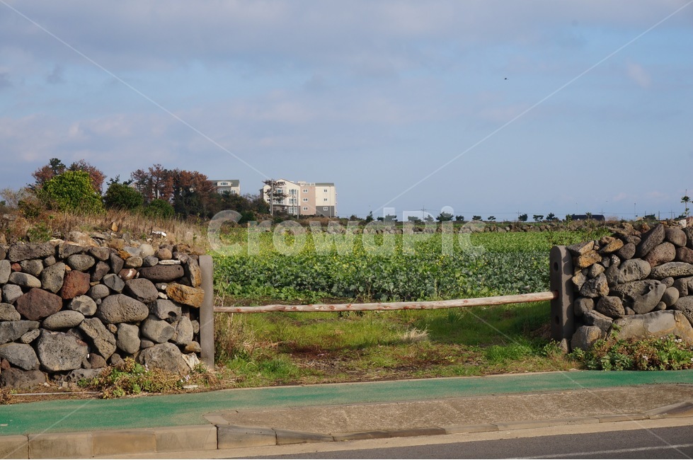제주도,자연,대문,풍경,봄,자연,풍경,nature,landscape,한국자연풍경,한국자연경관,korea nature landscape,제주도,jeju,jeju island