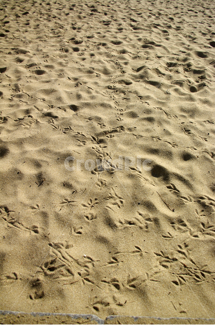 모래,발자국,모래사장,해변,sand,해변,바다,beach,sea