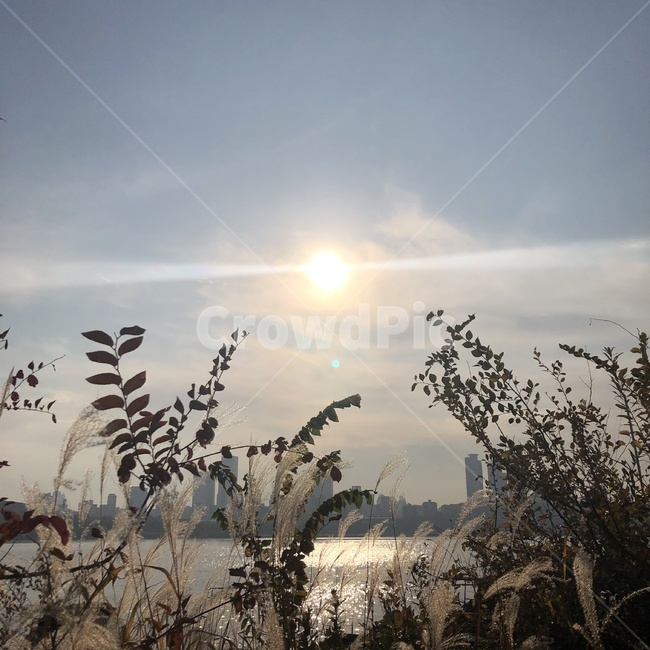 한강,풍경,빛,light,햇빛,하늘,가을,가을,계절,fall,autumn,season,flare,플레어