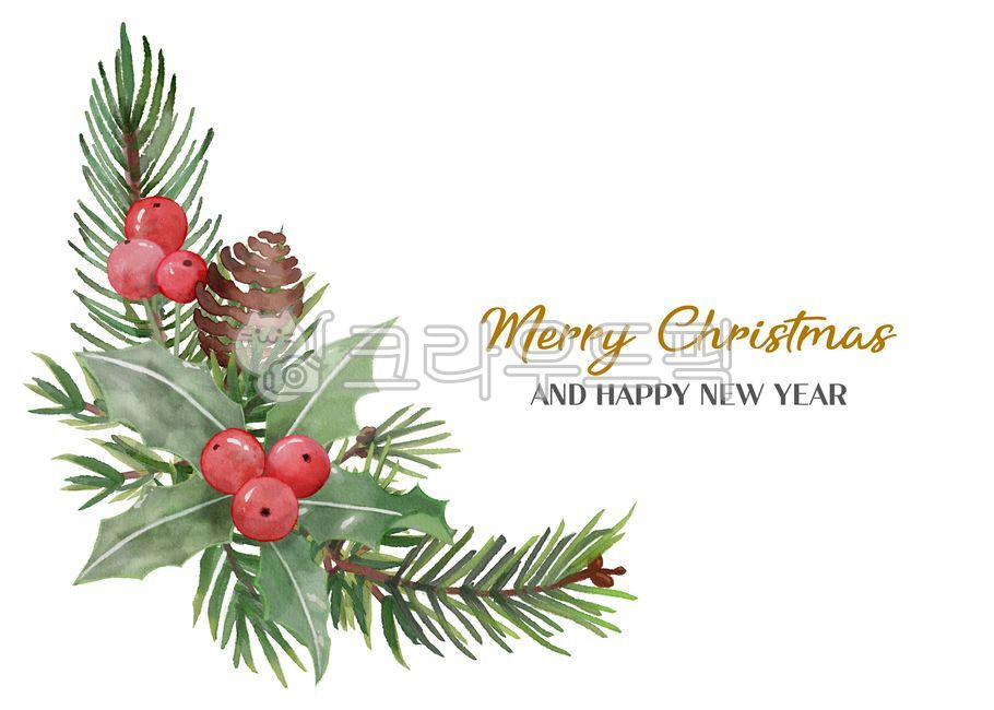 template,pine tree,clipart,discount,winter,watercolor pine cones,christmas fruit,branch,fir,cedar,Christmas Illustration Contest,design,christmas leaves,event,christmas card,spruce tree,watercolor painting,Berry,twigs,tree,red fruit tree,banner,watercolor