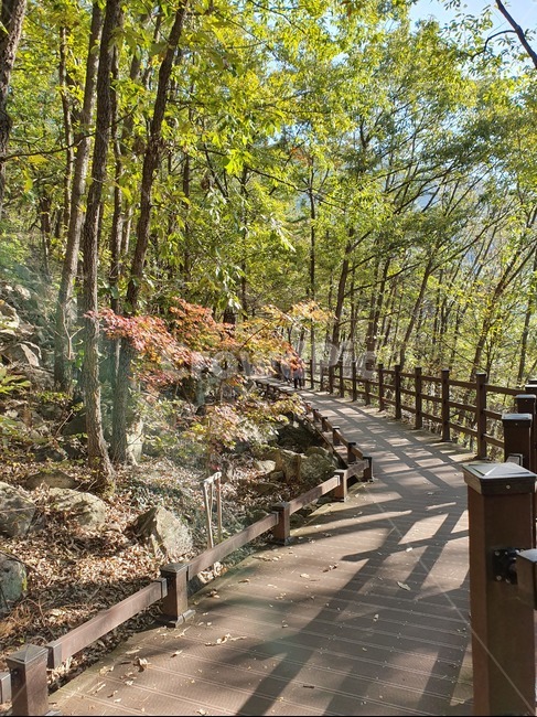 산,등산로,등반,나무데크,가을산,자연,풍경,nature,landscape