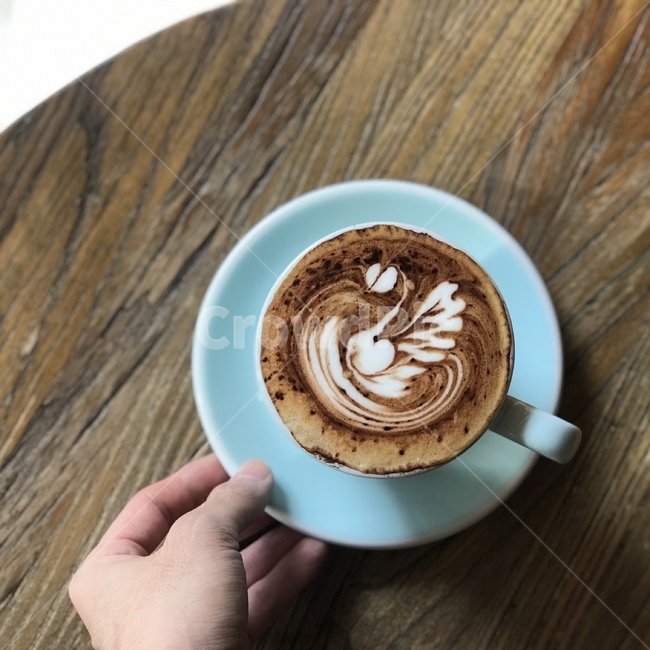 커피,카페라떼,라떼아트,백조,커피아트,coffee,cafelatte,latteart,swan,coffeeart,음료수,drink,beverage,커피,카페,coffee,cafe