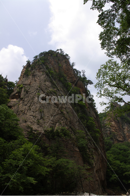 산,바위,풍경,나무,설악산,자연,풍경,nature,landscape,outdoors,옥외,cliff,낭떠러지