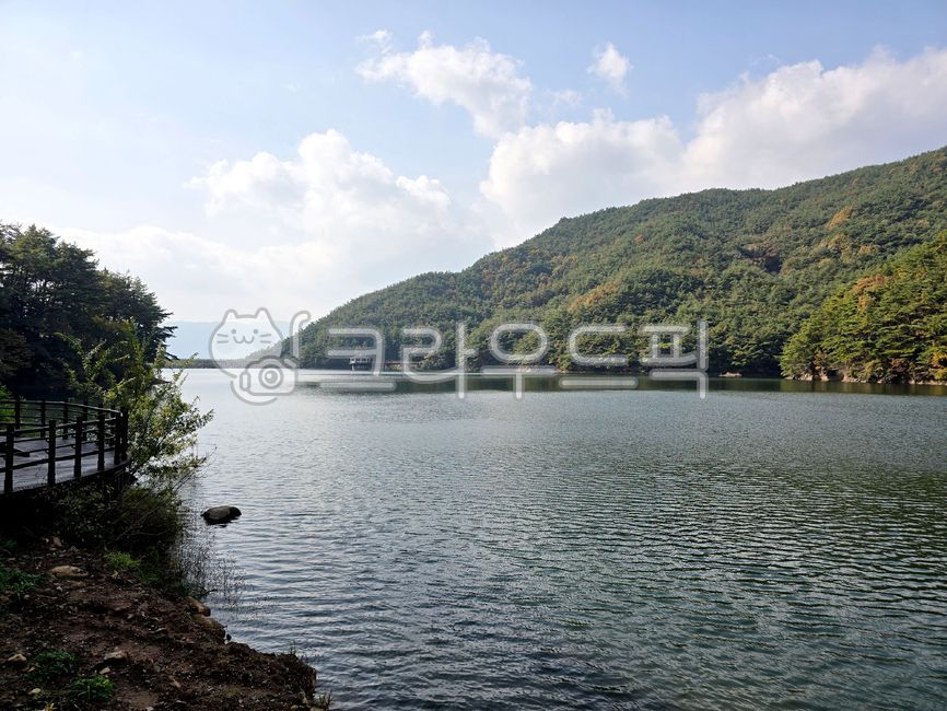 물가풍경,산과호수,고요한호수,자연배경,숲,물,하늘과물,감성풍경,lake,forest,nature,landscape,calmwater,평화,힐링