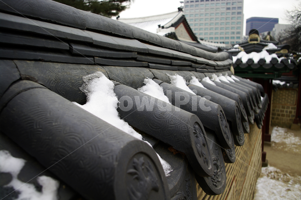 덕수궁,고궁,건축,전통건축,traditional,전통,기와지붕,담장,겨울,winter,눈,겨울,계절,winter,season,한국전통,한국문화,korean traditional,korean culture
