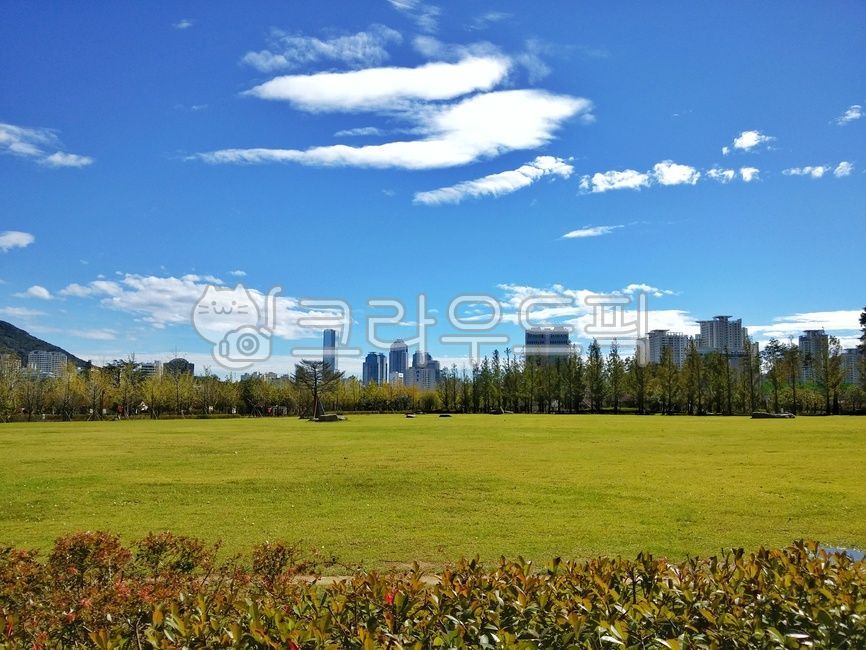 하늘,푸른하늘,풍경,공원,녹지,도시,도시풍경,봄,가을,계절,잔디,구름,푸른색,빌딩,부산광역시,부산시민공원,plant,식물,nature,자연,outdoors,옥외,field,들,busan,spring,autumn,building,sky,blue,cloud,city,landscape,park,green