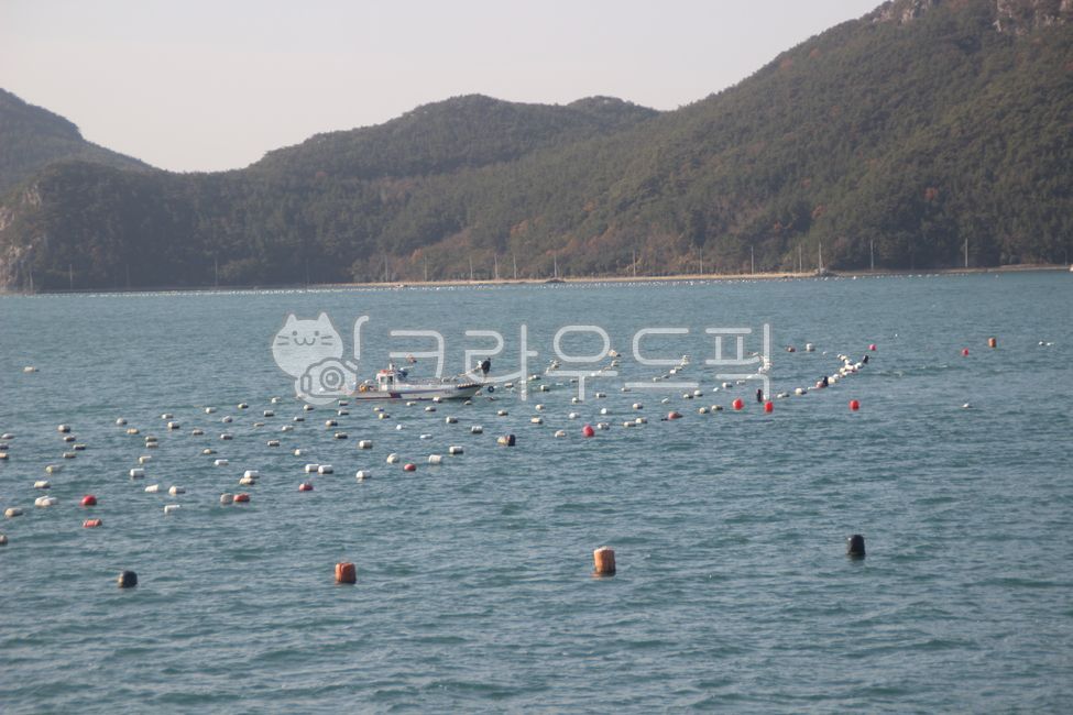 Hansan Bay,fishingcraft,mariculture,fishing boat,sea,sea fishing,boat,seascape,ocean,fishingboat,fishingvessel,Hansan Sea,Tongyeong sea,sea farming