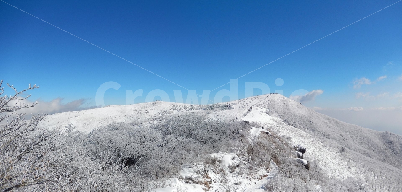 소백산,눈꽃풍경,상고대,겨울풍경,국립공원,겨울동화,힐링,감성,아름다움,뷰티풀,설국,눈풍경,파란하늘,100대명산,겨울명산,설경,서리꽃,snow,landscape,눈,화이트,자연,신비로운,경이로운,천상,비경,치유,산,명산,파노라마,겨울,계절,winter,season,자연,풍경,nature,landscape,한국자연풍경,한국자연경관,korea nature landscape,outdoors,옥외,mountain,ice,얼음,mountain range,산맥