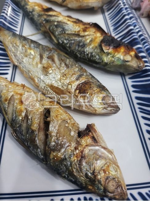 생선,전어,전어구이,제철음식,가을,가을전어,구이,생선구이,고소한,해양생물,음식,먹다,식당