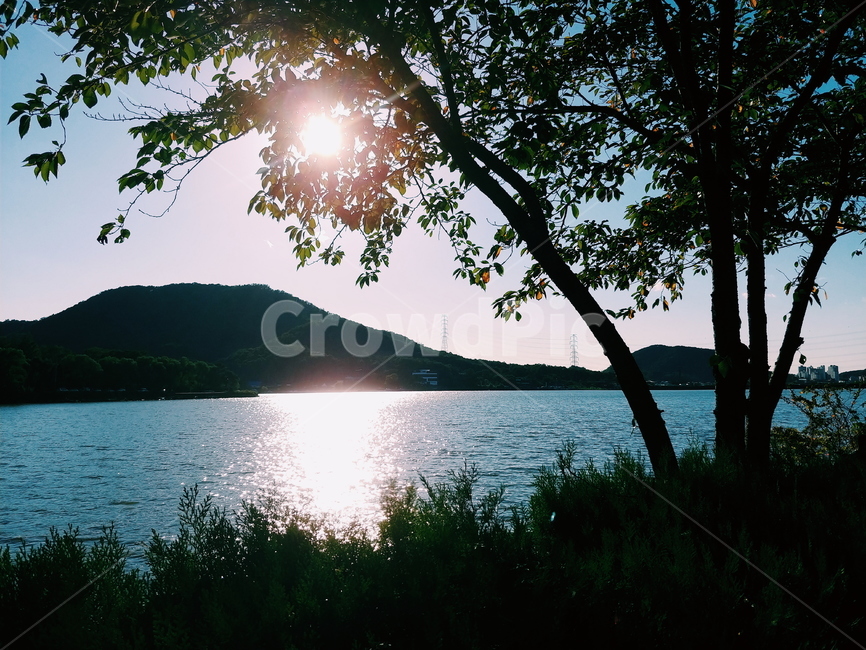 저수지,강,river,blue,tree,나무,풍경,자연,풍경,nature,landscape,light,빛,flare,플레어