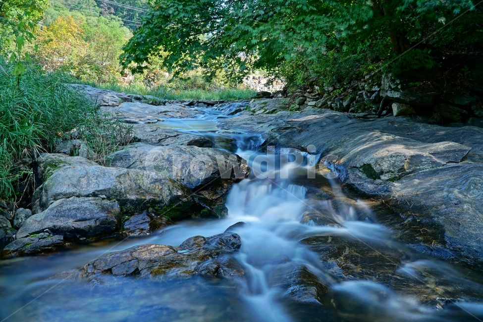 경기도,경기북부,동두천,탑동계곡,계곡,자연,한국자연,한국,korea,nature,valley,water,물,바위,돌,암석,rock,stone,tree,나무,이끼,풀,수풀,경치,scenery,scene,view,하천,시냇물,creek,작은만,stream,흐름,outdoors,옥외,개울,자연,풍경,nature,landscape,작은 만