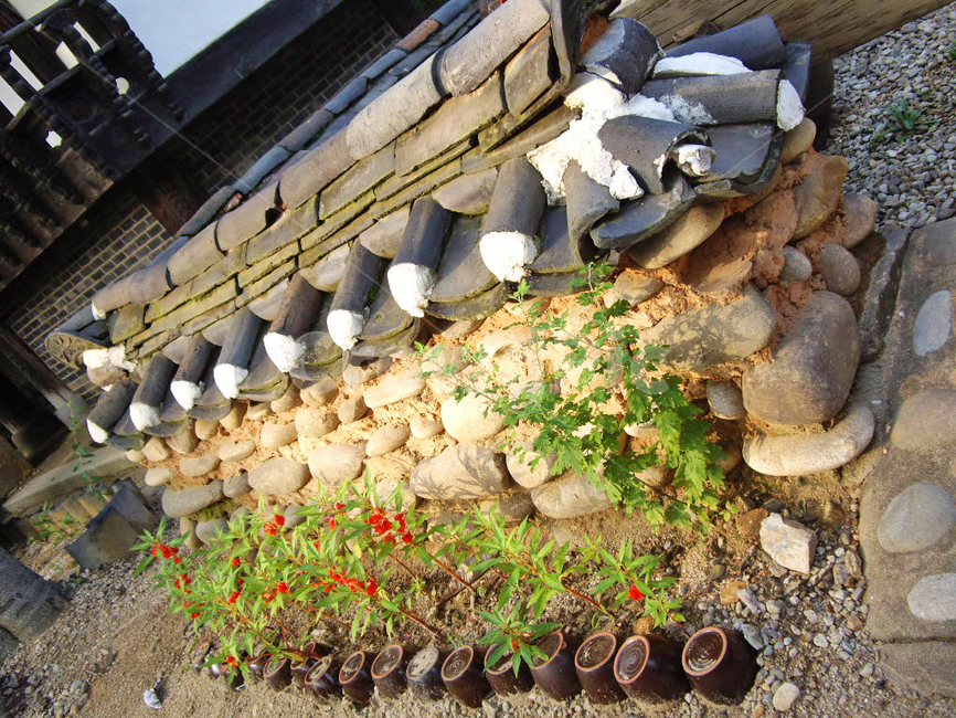민속촌,민속마을,한국전통,전통,전통마을,한국문화,보존,한국의미,옛마을,village,nature,plant,자연,풍경,식물,korean,주거지,나무,traditional,culture,outdoors,전통정원,옥외,기와,담장,항아리