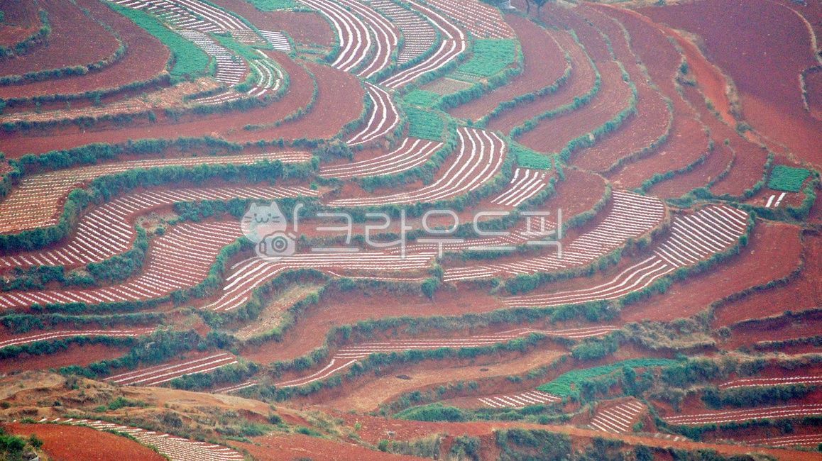 ground, 바닥, soil, 흙, outdoors, 사진,이미지,일러스트,캘리그라피 - 영산공작가
