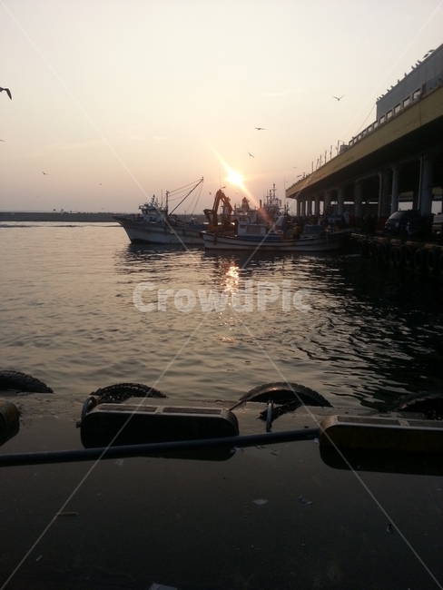 바다,일출,부두,배,새벽,겨울,감성사진,풍경,산업,industry,industrial,어업,fishery,fishing industry,교통,교통수단,traffic,transportation,vehicle,차량,watercraft,선박,water,물