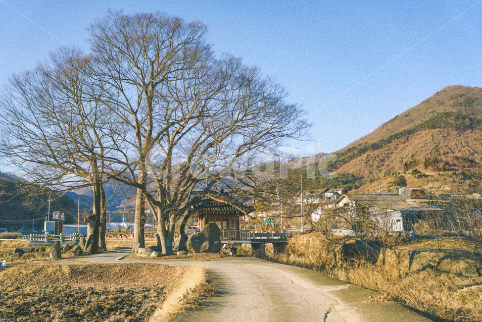 nature,자연,outdoors,옥외,road,도로