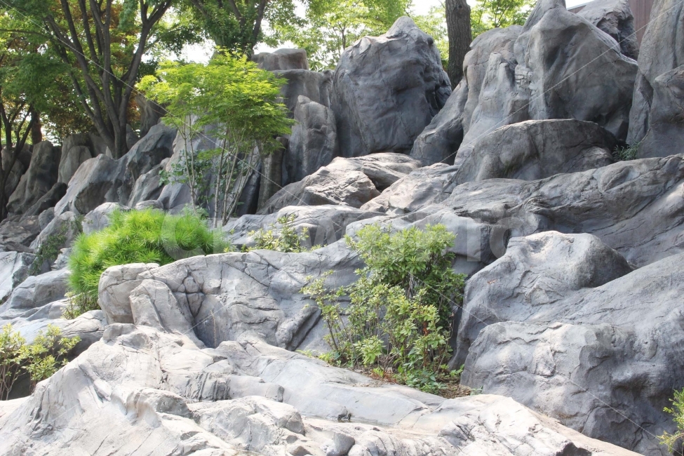 돌,나무,풀,자연,야외,공원,정원,자연,풍경,nature,landscape,rock,록,slate,슬레이트