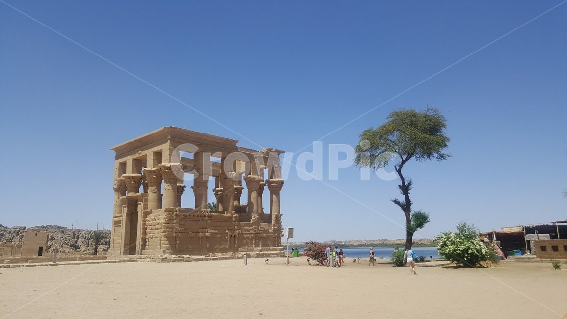 신전,이집트,유적지,나무,사막,관광지,temple,egypt,heritage,tree,desert,tour