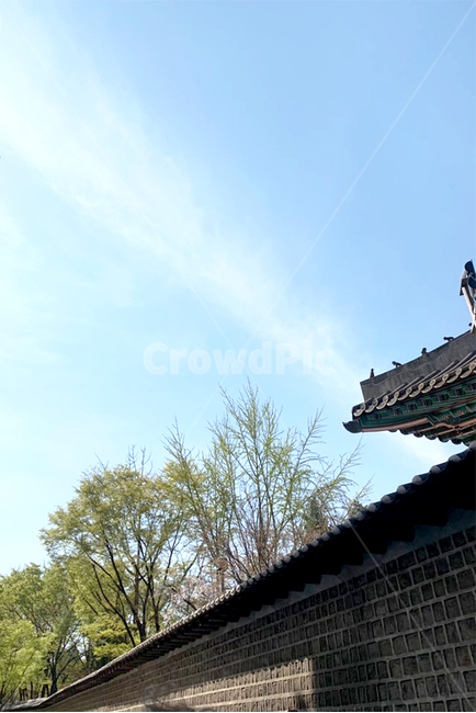 한국적,한국,고궁,하늘,자연,구름,맑은날,korea,koreahouse