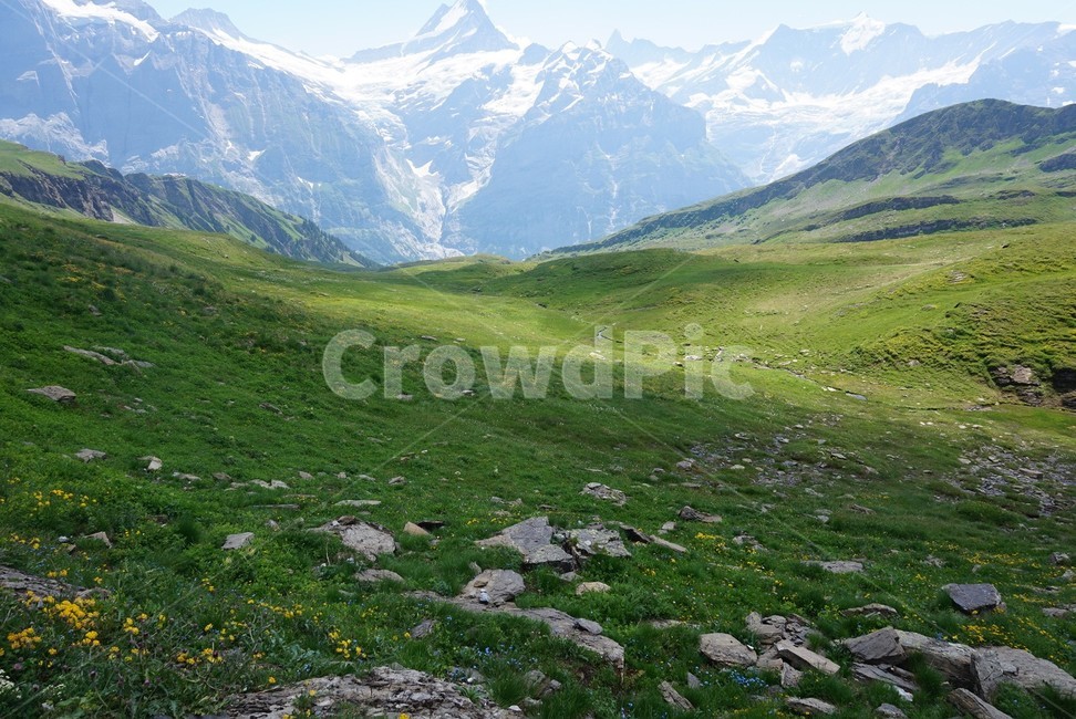 스위스,자연,nature,풍경,옥외,outdoors,mountain,감성,자연,풍경,nature,landscape,산