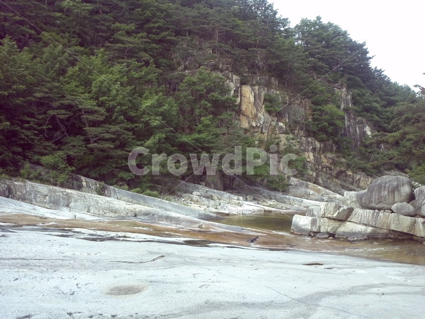 절벽,cliff,nature,자연,바위,낭떠러지,나무,자연,풍경,nature,landscape,outdoors,옥외
