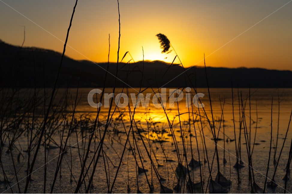일몰,어비리,이동저수지,어비낙조,저수지,sunset,lake