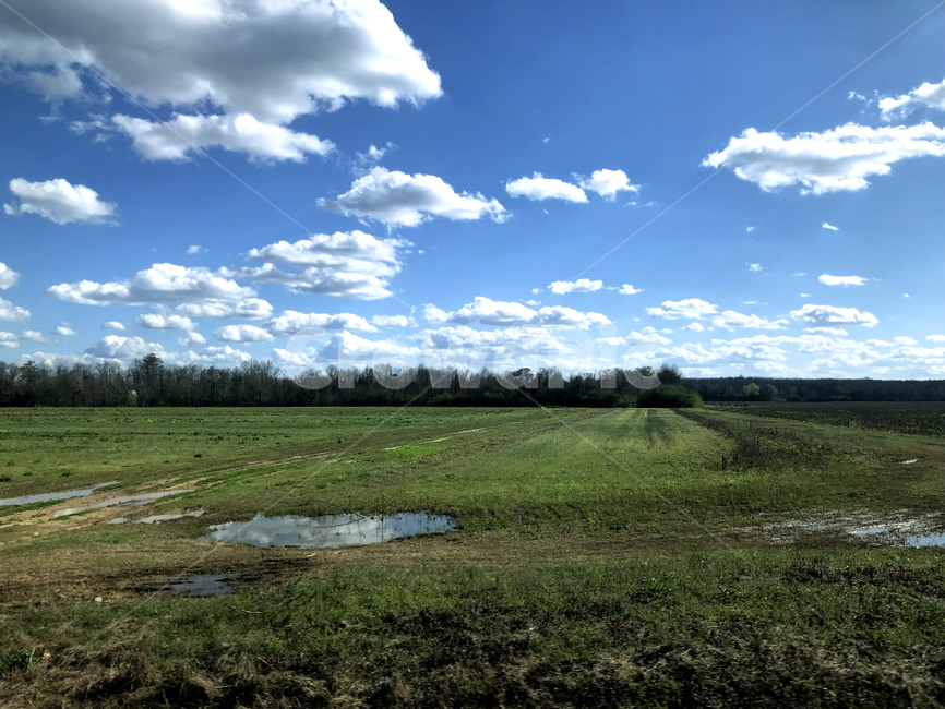 들판,하늘,구름,나무,물,자연,풍경,nature,landscape,land,땅,outdoors,옥외,weather,날씨