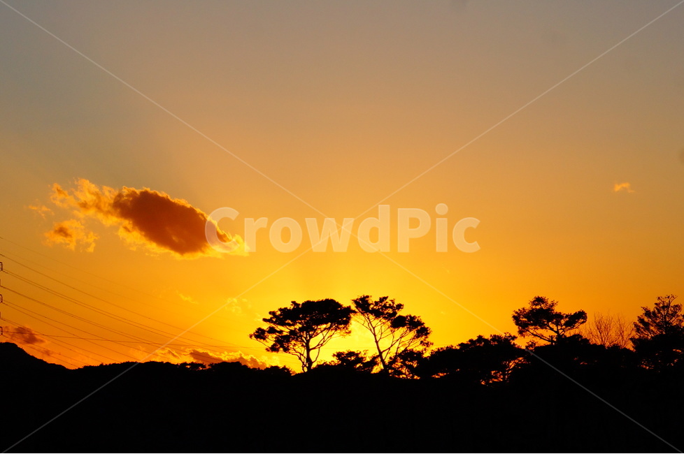 저녁,노을,일몰,해,빛,풍경,자연,자연,풍경,nature,landscape,outdoors,옥외,savanna,대초원,grassland,목초지,field,들