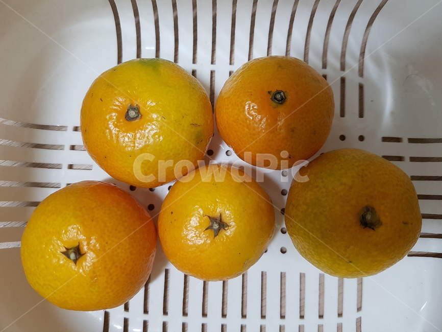 감귤류과일,plant,과일,주황색,orange,귤,겨울,감기,음식,식재료,요리,food,cook,meal,dishes,food reserves,과일,열매,fruit