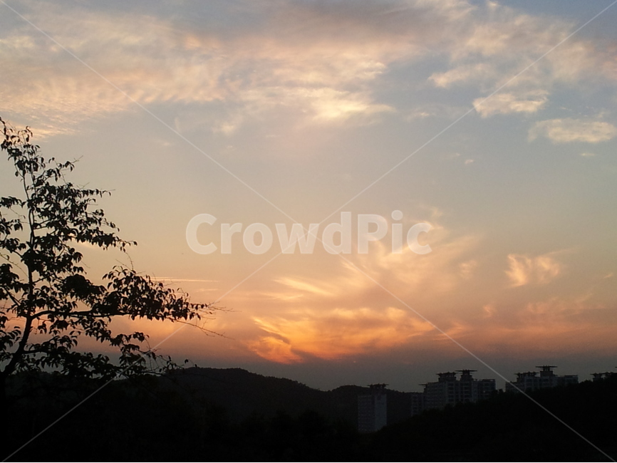 노을,저녘,구름,나무,풍경,자연,풍경,nature,landscape,도시,city,한국도시풍경,한국도시경관,korea cityscape,outdoors,옥외,sunlight,햇빛,sunset,일몰,red sky,붉은 하늘,dusk,황혼,dawn,새벽,sky,하늘