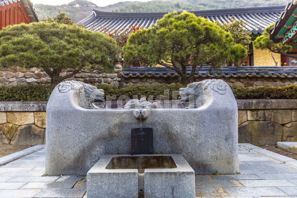 약수물,약수터,감성,사찰,염원,기원,힐링,물,water