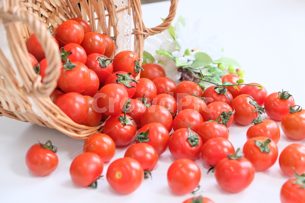 토마토,방울토마토,과일,야채,식품,신선,음식,tomato,droptomato,fruit,vegetables,fresh,food,음식,식재료,요리,food,cook,meal,dishes,food reserves,과일,열매,fruit,채소,야채,vegetables