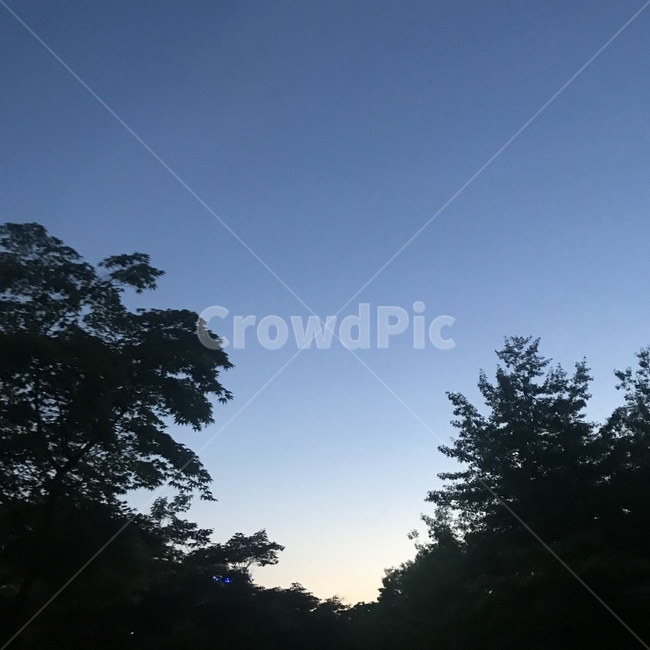 저녁,하늘,나무,sky,tree,evening,blue,green,자연,풍경,nature,landscape,silhouette,실루엣,plant,식물,outdoors,옥외