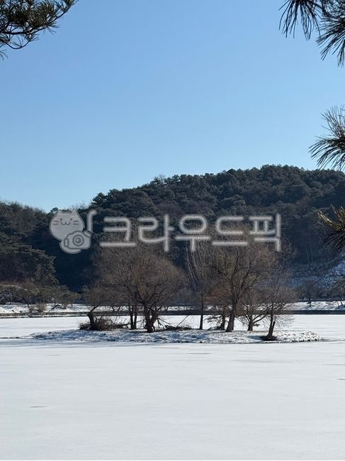 Jecheon,Uirimji,snow,snow piled up in Uirimji,winter,winter trees