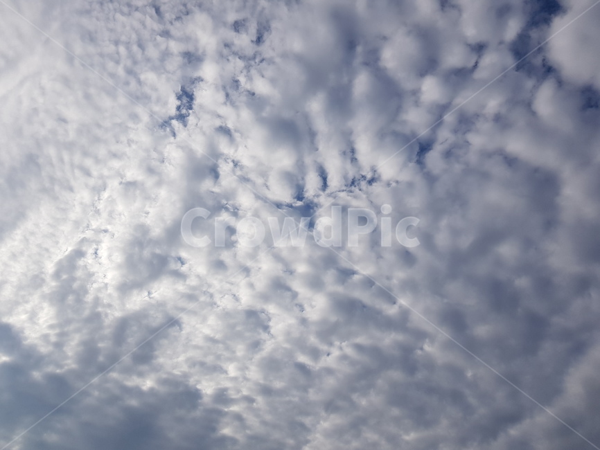 구름,뭉게구름,하늘,파란하늘,풍경,cloud,sky,둥실둥실,특이한구름