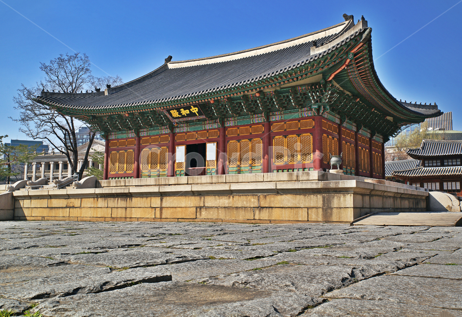중화전,월대,보물제819,정전,덕수궁,궁궐,대한제국,고종
