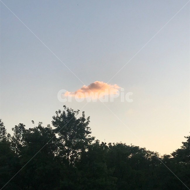 구름한조각,구름,하늘,숲,나무,외톨이구름