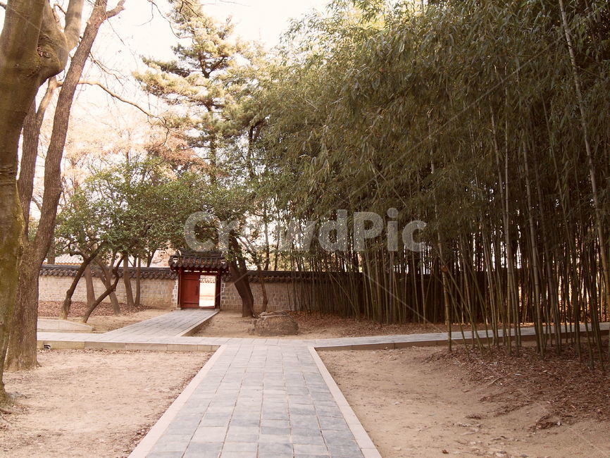 경기전,전주한옥마을,한국전통건물,대나무,풍경,조선건축물,기와,한옥