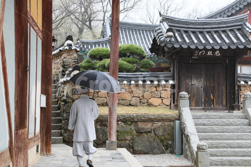 화엄사,사찰,전통가옥,절,우중,비,한국전통,한국문화,korean traditional,korean culture,사람,인물,인간,human,person,종교,신앙,religion,belief,faith,비,비오는날,rain,rainy