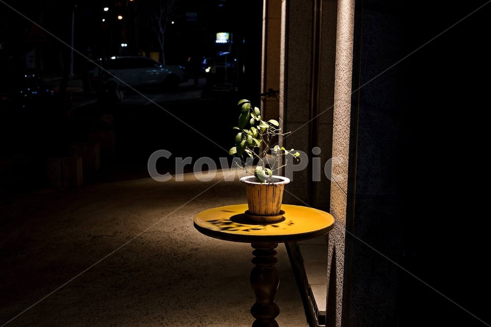 일상,밤,화분,조명,감성,저녁,길거리,어두운,도시,street,light,night,emotions,야경,밤,풍경,nightscape,night,landscape,식물,자연,plants,nature