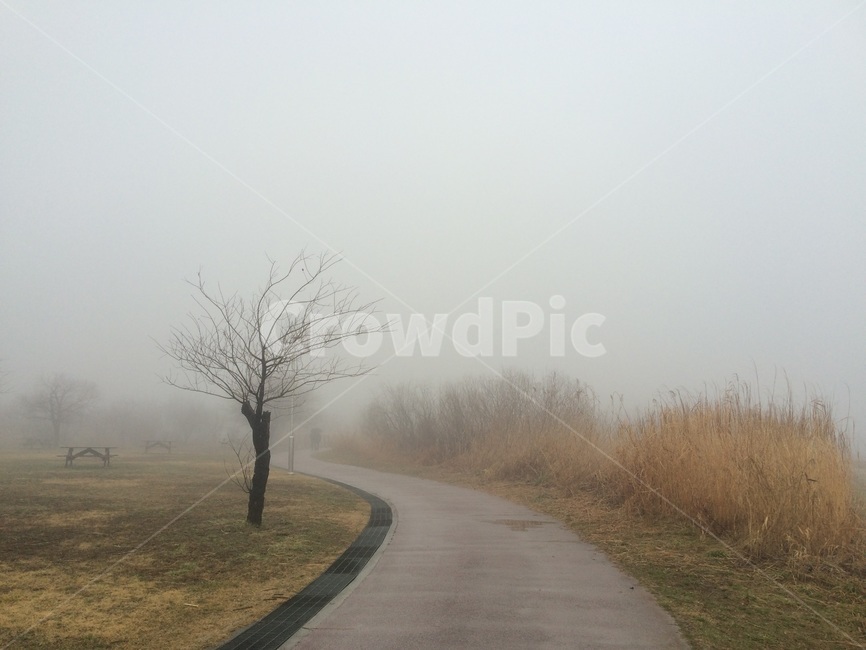하늘,갈대,가을,감성사진,강,물,안개,자연,풍경,nature,landscape,weather,날씨,outdoors,옥외,fog,mist