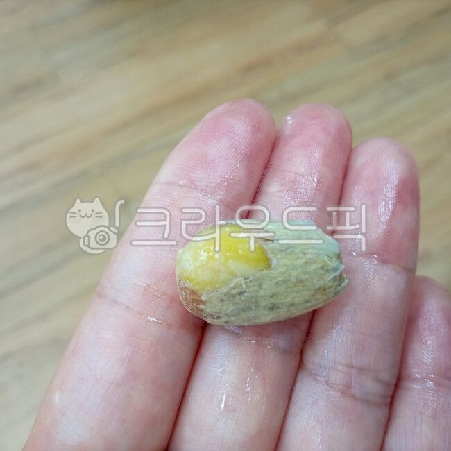 Ranbutan seeds,Rambutan,ingredients,Rambutan seed appearance,food