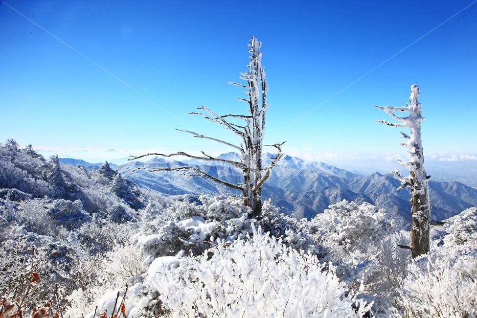 frost,서리,nature,자연,outdoors,옥외,ice,빙,mountain,산,mountainrange,산맥,glacier,빙하,snow,눈,scenery,상고대,무주,덕유산,덕유산설경,설경,설청봉,향적봉,중봉,경치,풍경,운해