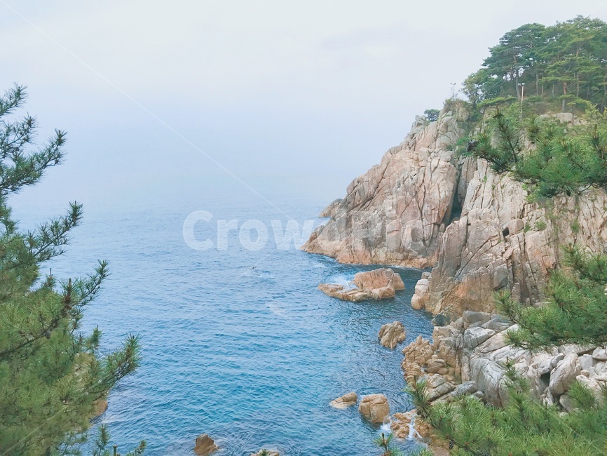 바다,풍경,소나무,자연,낙산사,자연,풍경,nature,landscape,promontory,곶,outdoors,옥외,cliff,낭떠러지