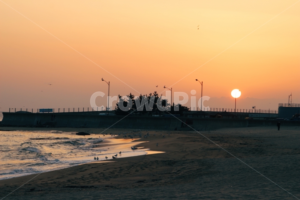 새해,일출,풍경,바다,소원,자연,풍경,nature,landscape,해변,바다,beach,sea,outdoors,옥외