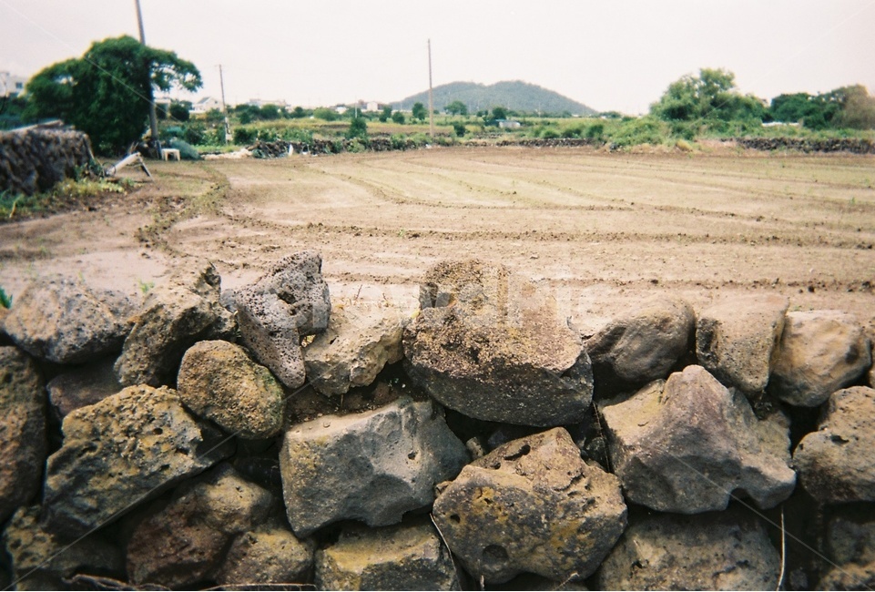 soil,흙,rock,담벼락,제주도,밭,돌담