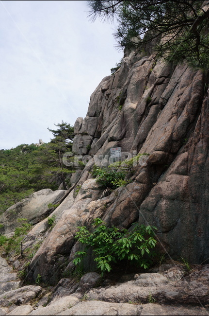 바위,용봉산,봄,초록,풍경,맑음,자연,풍경,nature,landscape,한국자연풍경,한국자연경관,korea nature landscape,outdoors,옥외,cliff,낭떠러지