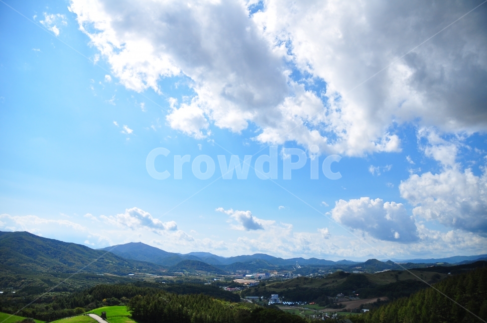 대관령,양떼목장,하늘,구름,산,자연,풍경,잔디,자연,풍경,nature,landscape,한국자연풍경,한국자연경관,korea nature landscape,outdoors,옥외,mountain,mountain range,산맥
