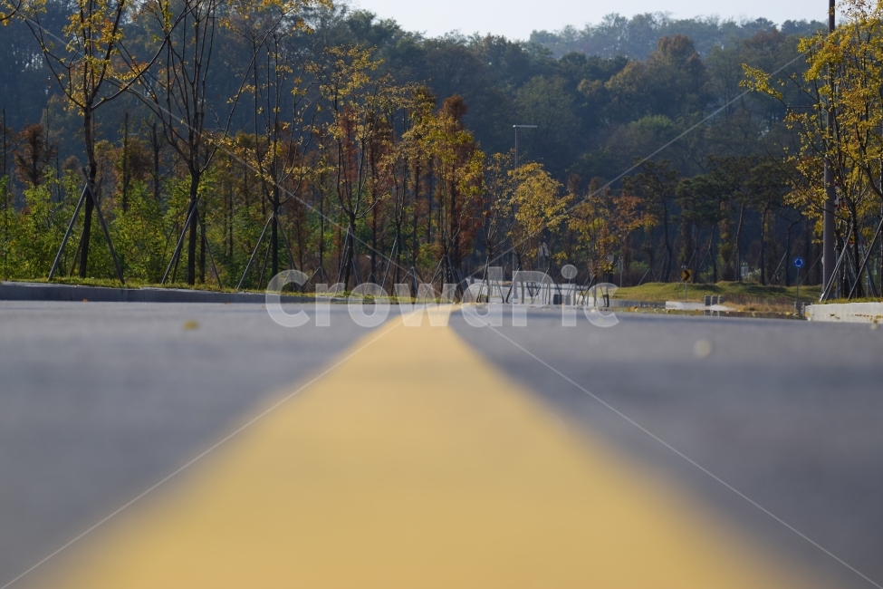 가을,길,도로,중앙선,구분,교통,교통수단,traffic,transportation,road,tree,나무,plant,식물,asphalt,아스팔트