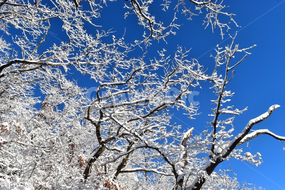 북한산,국립공원,설산,설경,눈,눈꽃,서울,도심지,명산,겨울,여행,국내여행,Seoul,Korea,National,Park,풍경,크리스마스,성탄절,화이트크리스마스,눈꽃풍경,비경,산행,등산,100대명산,기암,바위산,겨울,계절,winter,season,식물,자연,plants,nature,나무,trees,wood
