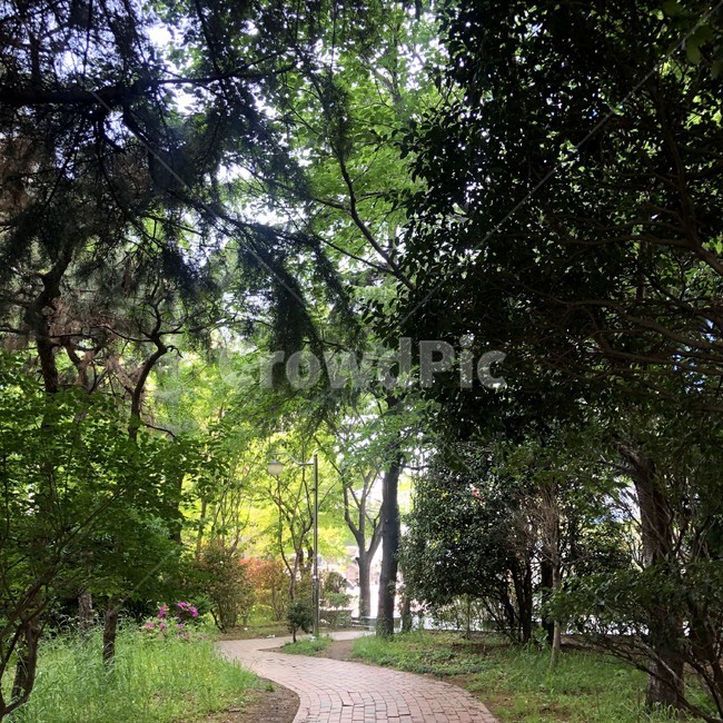 공원,산책,조깅,숲,휴식,힐링